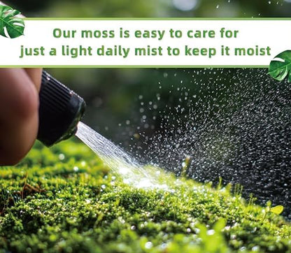 LUCKYRUNES Live Moss for Terrarium Bedding & Reptile Enclosures