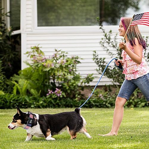 Independence Dog Collar-Adjustable Cute American Flag Pet Collars Holiday Soft Comfortable Cotton Puppy Collar Gift for Small Dogs