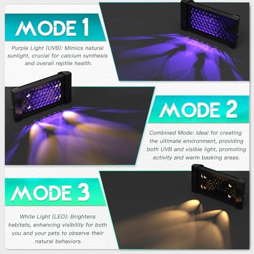 Dimmable LED Reptile UVB Lamp, 8000 Hours UVB Duration for Much Longer Lifespan, Adjustable 4/8/12-Hour Cycles, Suitable for Gecko, Chameleon, and Bearded Dragon, 8W, M Size