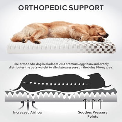 JOEJOY Dog Bed for Large Dogs, XLarge Orthopedic Dog Bed with Removable Washable Cover, Cute Modern Plush & Memory Egg Crate Foam Dog Bed, 42 x 28 inch, Cofffee