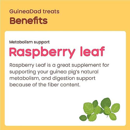 GuineaDad Organic Guinea Pig Herbal Treats - Guinea Pig Food with Convenient Packaging - Raspberry Leaf Flavor - 16 fl. oz - Guinea Pig Treats Help with Bonding - High in Nutrition and Fiber - Large