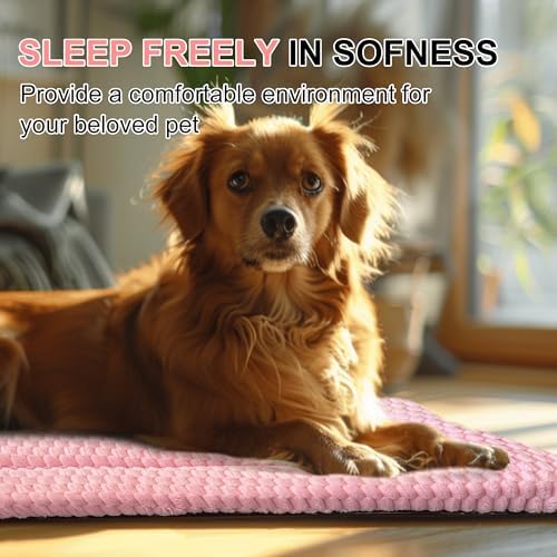 Dog Bed Mat – Soft & Comfortable Dog Kennel Pad for Crate – Durable Crate Bed & Mat for Dogs & Cats – Ideal for Crate, Kennel, and Home Use