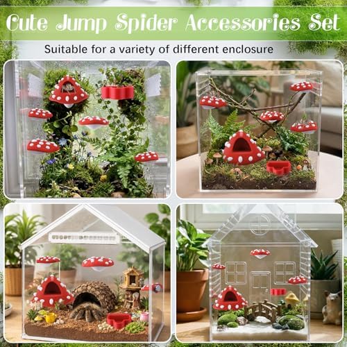 6 Pcs Jumping Spider Enclosure Accessories with Magnetic Mushroom Hide