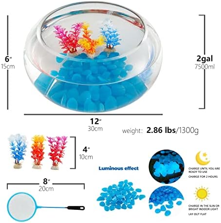 2 Gallon Glass Fish Bowl with Decor, Include Fluorescent Stones & Colorful Plastic Trees, High White Glass for Clear View, Small Fish Bowl/Vase/Aquarium for Betta Fish/Goldfish, Nice Home Décor