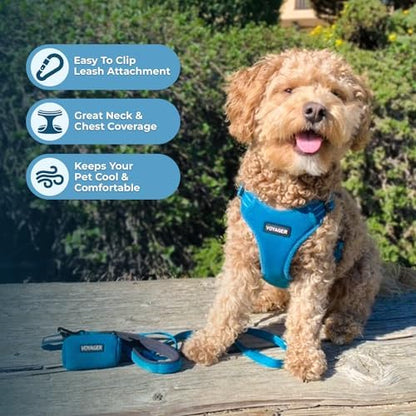 Voyager Step-in Flex Adjustable Dog Harness - Turquoise, Small