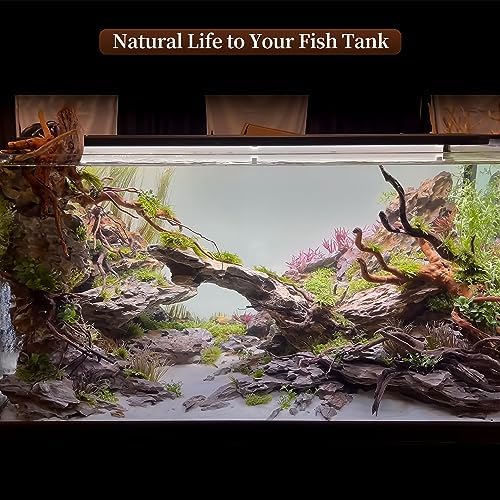majoywoo Natural Driftwood for Aquarium Decor Fish Tank Decor Reptile Decor