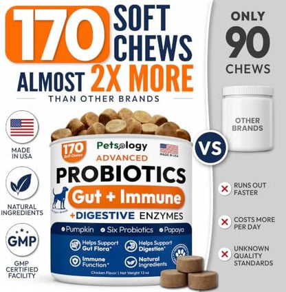 (2 Pack) Probiotics for Dogs - 340 Dog Probiotics Chews - Digestive Enzymes
