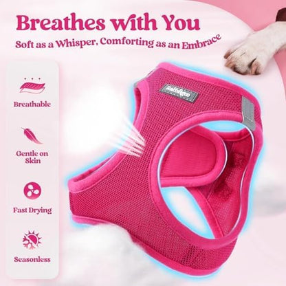 rabbitgoo Dog Harness Medium Sized and Leash Set, Step-in Puppy Pet Vest