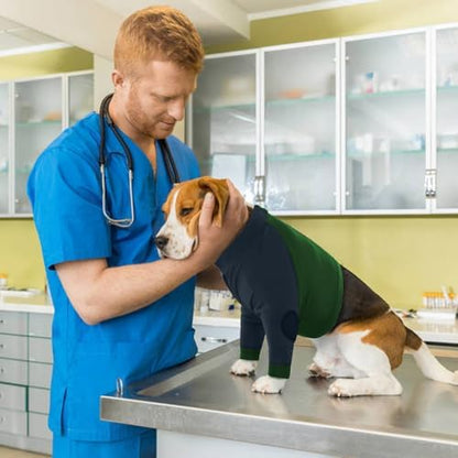 Lelepet Dog Recovery Sleeve for Wounds Front Legs, Stop Licking Dog Shirt
