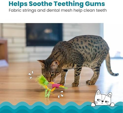 Catstages Dental Pineapple Teether – Chew Toy for Cats and Kittens – Textured Fabric and Mesh – Coated in Catnip Oil – Supports Teething Relief