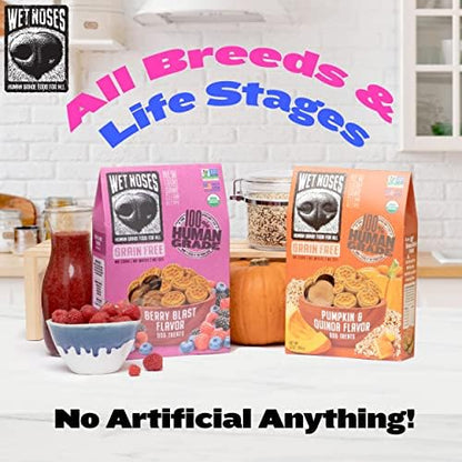 Wet Noses Organic Crunchy Dog Treats Grain Free – All-Natural, Human-Grade, Non-GMO, Healthy Training & Delicious Snacks for Dogs, All Dog Sizes & Breeds – Carrot & Sweet Potato, 14oz (Single Pack)