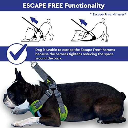 Gooby, Medium Green Memory Foam Escape Free Harness with 4-Point Adjustment for Small Dogs