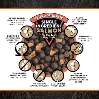VICTOR Raw Kibble Blend - Salmon Freeze-Dried Dry Dog Food, 20 lb