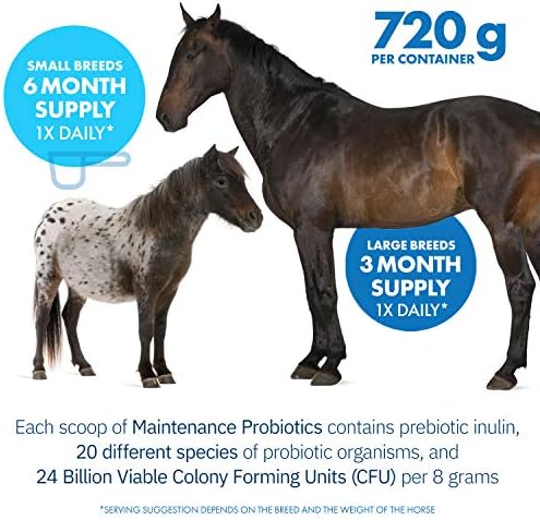HealthyGut™ Probiotics for Horses Dietary Supplement, All-Natural Digestive System Maintenance Formula (90 Days)