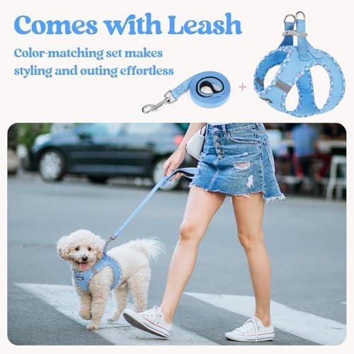 rabbitgoo Dog Harness Small Sized and Leash Set, Step-in Puppy Pet Vest