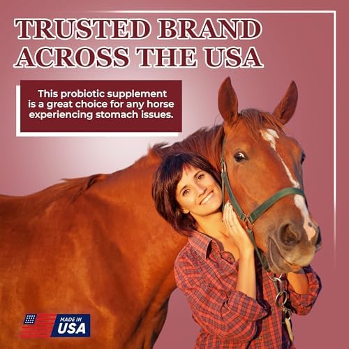 EQUERRY'S Better Horse Belly - Supplement for Horses with Gut Support | Probiotics with Prebiotics and Digestive Enzymes | for Colic, Digestive Upset - 3.2LB