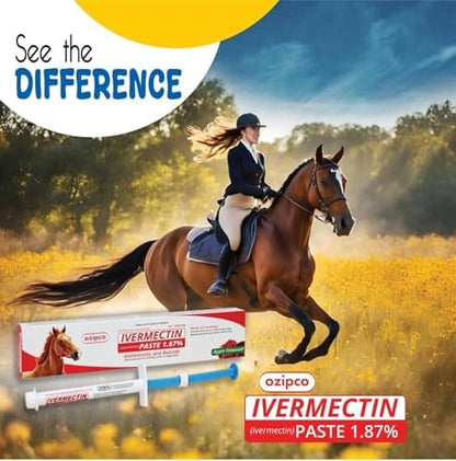 Ivermectin Horse Paste 1.87% | Apple Flavor – 6.08g Syringe for Equine Use Only Up to 1250 LB (12-Pack)