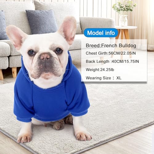 2 Pack Dog Hoodie Warm Hood Dog Sweater Cold Weather Small Dogs Sweatshirt Comfort Pet Clothes for Small Medium Dogs with Pockets Cats Chihuahua Clothes for Male Female Girl Boy Sporty Daily Wear