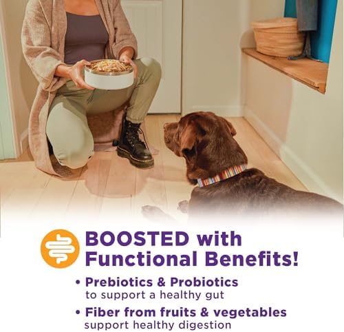 Wellness Bowl Boosters, Dog Food Topper for Small, Medium, & Large Breeds, Grain Free, Natural, Freeze Dried, Digestive Health Chicken, 4 Ounce Bag (Pack of 2)