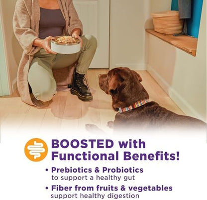 Wellness Bowl Boosters, Dog Food Topper for Small, Medium, & Large Breeds, Grain Free, Natural, Freeze Dried, Digestive Health Chicken, 4 Ounce Bag (Pack of 2)