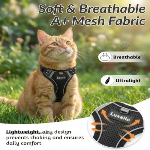 Luxelle Escape-Proof Cat Harness and Leash Set – Adjustable No Pull Soft Vest with 360° Reflective Straps, Built-in Pocket & Wrist Strap, Breathable Mesh Outdoor Harness