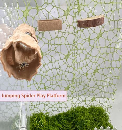 6Pcs Jumping Spider Accessories Set,Tree Jumping Spider Climbing Toy with Cave, Jumping Spider Feeder,2 Wooden Platforms and 2 Green Moss Ribbons,Small Reptile Enclosure Decoration Accessories
