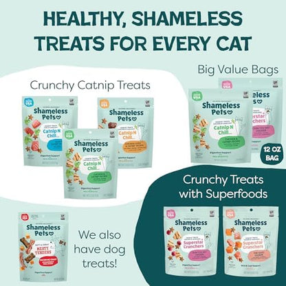 Shameless Pets Crunchy Cat-Treats - Kitty-Treats for Cats with Skin & Coat Support, Natural Ingredients KittenTreats with Real Salmon, Healthy Flavored Feline Snacks - Yam Good Salmon, (Pack of 2)