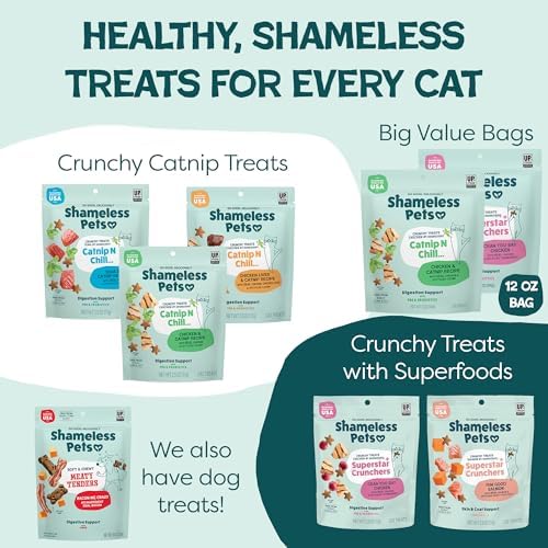 Shameless Pets Crunchy Cat-Treats - Kitty-Treats for Cats with Skin & Coat Support, Natural Ingredients KittenTreats with Real Salmon, Healthy Flavored Feline Snacks - Yam Good Salmon, (Pack of 2)
