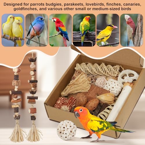 Bird Toys Parrot Foraging Box Parakeet Toys with DIY Hanging String