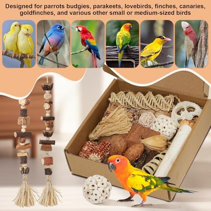 Bird Toys Parrot Foraging Box Parakeet Toys with DIY Hanging String