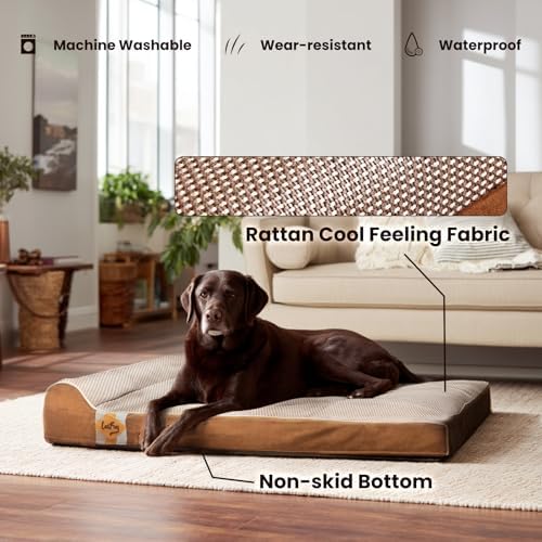 Laifug Orthopedic Dog Beds for Large Dogs,3" Memory Foam Dog Beds,Durable Water Proof Liner Removable and Washable, Nonskid Bottom, Brown 40"x25"x5.5"