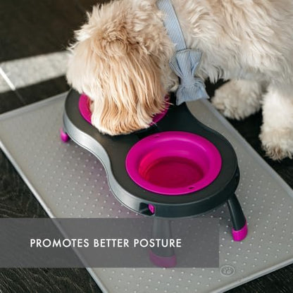 Dexas Pets Elevated Double Pet Feeder, Large, 2.5 Cup Capacity Bowls, Fuchsia, Raised Pet Food and Water Bowls