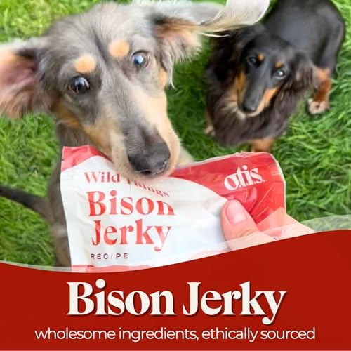 O.T.I.S. Wild Things Bison Recipe Jerky for Dogs – 4 oz – Soft Bison Treats with Flaxseed – Grass-Fed, GMO-Free – No Hormones or Artificial Additives