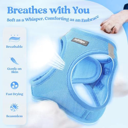 rabbitgoo Dog Harness Small Sized and Leash Set, Step-in Puppy Pet Vest