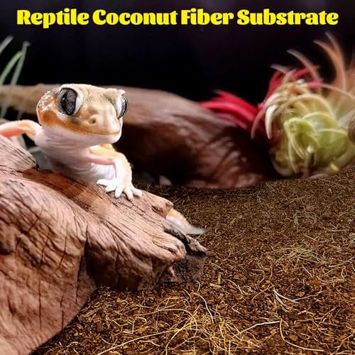 Hamiledyi Reptile Coconut Fiber Substrate Lizards Breathable Coconut Soil Tortoise Habitat Substrate Terrarium Bedding for Snake, Bearded Dragon, Gecko, Horned Frog, Hermit Crab, Tarantulas (1Pack)