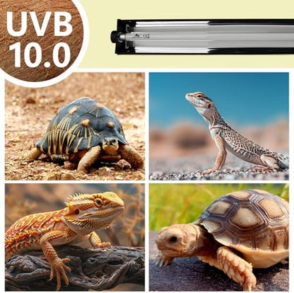 T5 UVB Lighting Combo Kit for Reptiles,24W Light Fixture with Desert 10.0 T5 UVB Light Bulbs Terrarium Hood Heat Lamp for Breaded Dragon,Turtle,Frog,Lizard,Tortoise,Gecko,Snake