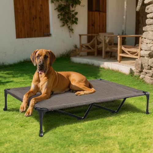Veehoo Outdoor Elevated Dog Bed Large Sized Dogs, XXL Cooling Raised Dog Cots Beds Training Platform Off Ground Hammock with Breathable Mesh, No-Slip Feet, 59"x37.5", Brown