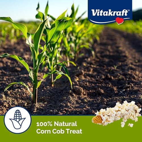 Vitakraft Mini Pops Microwavable Corn Cobs for Small Animals - Corn on The Cob Snack for Hamsters, Rabbits, & Guinea Pigs - Pet Treat & Enrichment Chew Toy - Popcorn for Small Animals (1lb)