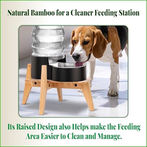 Dog Water and Food Dispenser Stand for Medium Dogs - Adjustable, Bamboo