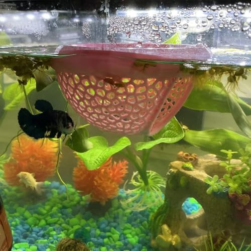 Aquarium Floating Betta Fish Skins, Betta or Shrimp Feeder, Cave and Hammock, Small Fish Feeding Rings, Aquarium Hiding Feeding Decorative Accessories (Light Pink)