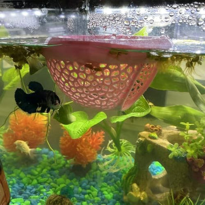 Aquarium Floating Betta Fish Skins, Betta or Shrimp Feeder, Cave and Hammock, Small Fish Feeding Rings, Aquarium Hiding Feeding Decorative Accessories (Light Pink)