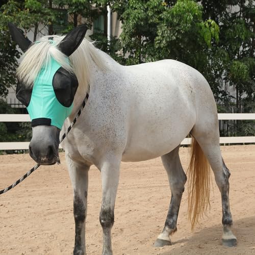 Stretchy Horse Fly Mask with Ears, Large Eye Space Green Full