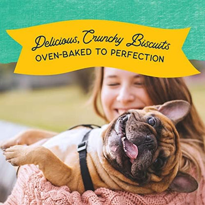 Natural Balance Rewards, Crunchy Biscuits, Chicken, 14 oz