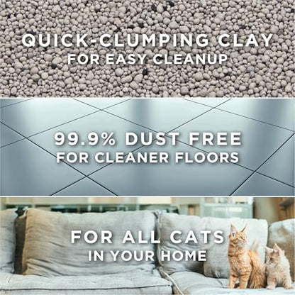 Purina Tidy Cats Free and Clean Unscented Clumping Cat Litter, 38 lb Box