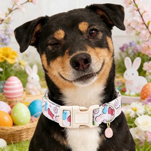 Dog Collars, Easter Colorful Rabbit Print Pet Collar Holiday Cute Durable Adjustable Pendant Gift Collar with Quick Release Plastic Buckle for Large Dogs