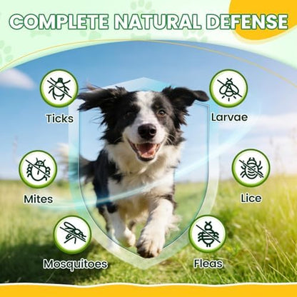 Flea and Tick Prevention for Dogs, 500 Tasty Chicken Flavor Soft Chews