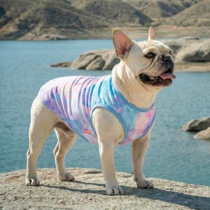 KYEESE 2Pack Dog Shirt for Small Dogs Soft Breathable T-Shirts, Purple+Blue