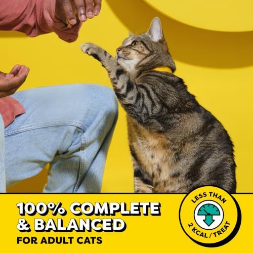 Temptations Classic Crunchy and Soft Cat Treats, Creepy Catnip, 16 oz