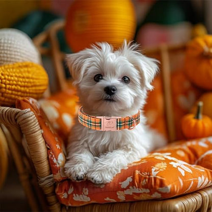 Fall Dog Collar for Large Dogs - Vintage Orange Green Plaid Tanksgiving Puppy Collar, Adjustable Heavy Duty Halloween Festivel Dog Collars with Metal Buckle XL