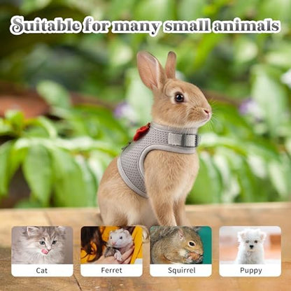 AIITLE Breathable Bunny Harness and Leash Set with Cute Bow, Grey L